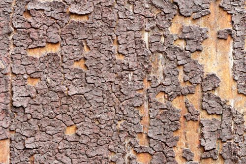 Old cracked paint texture