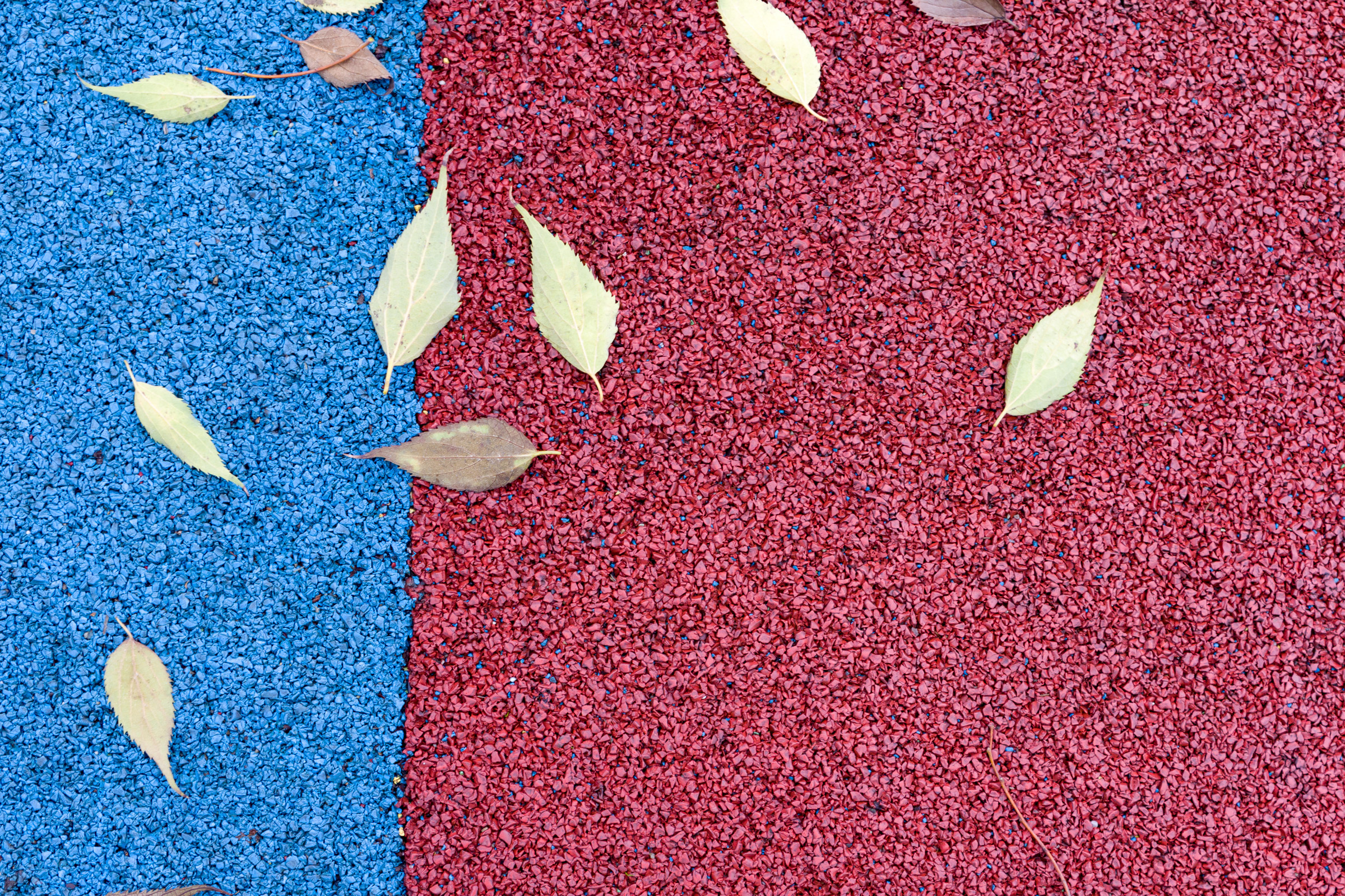 Leaves on playground floor