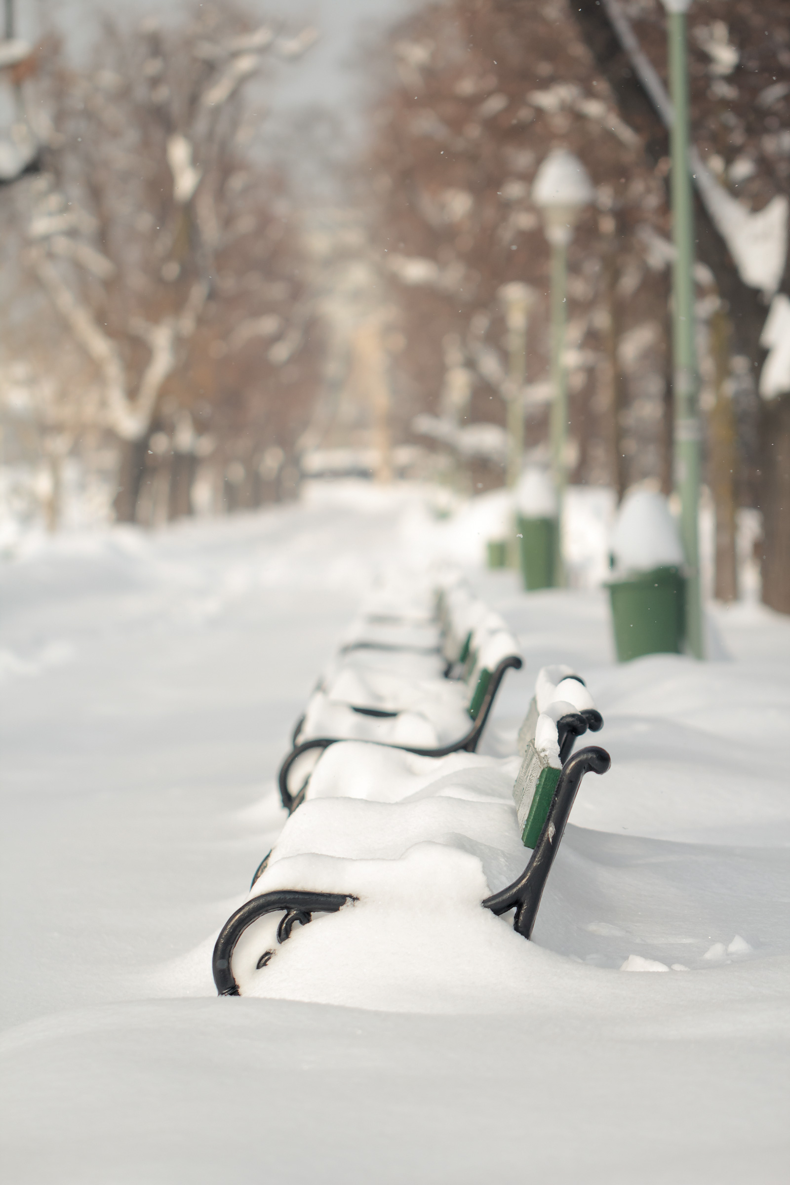 Winter scene with a snow covered bench in a city park