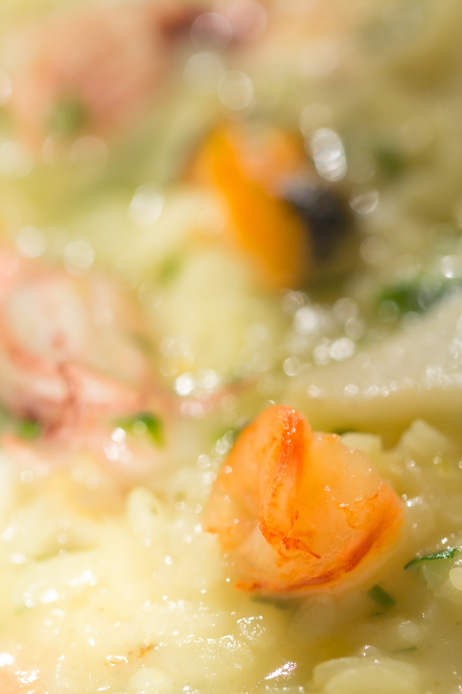 Seafood Risotto with fresh parsley, Parmesan cheese