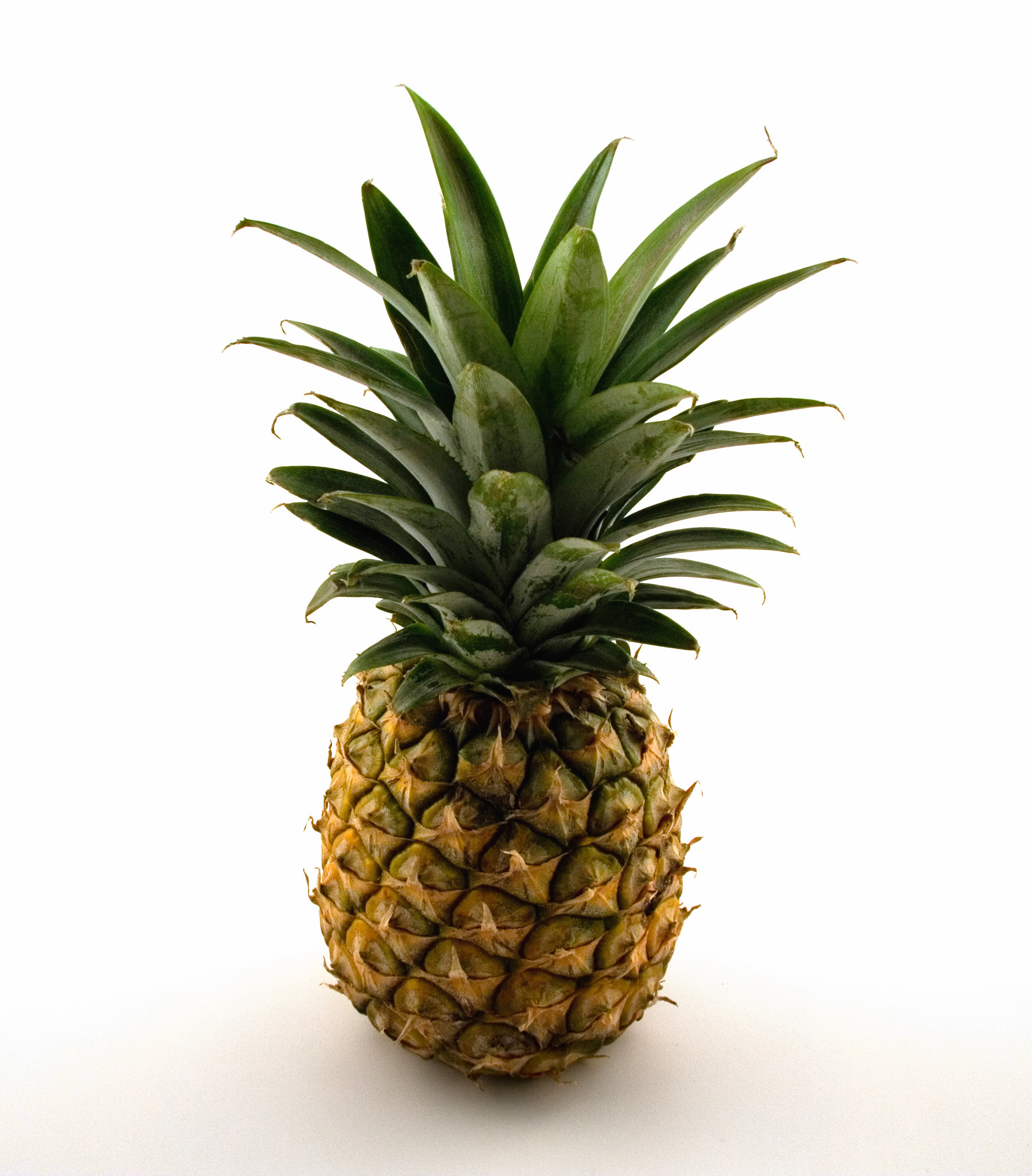 Fresh whole pineapple