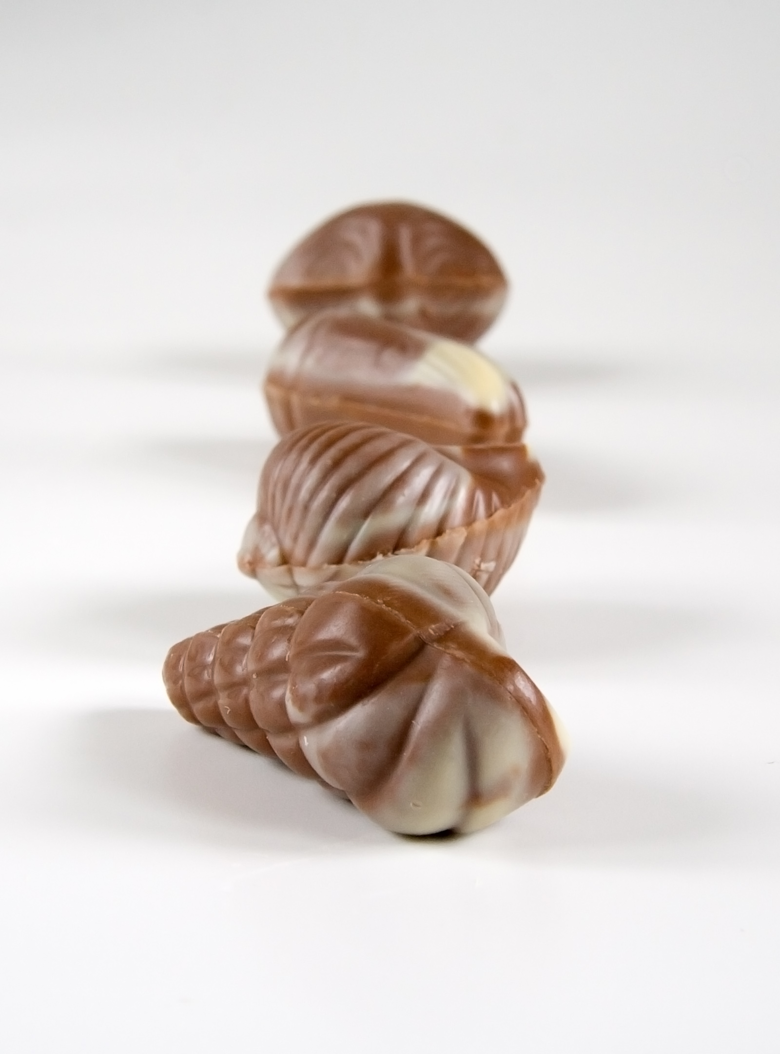 Chocolate shells in a row