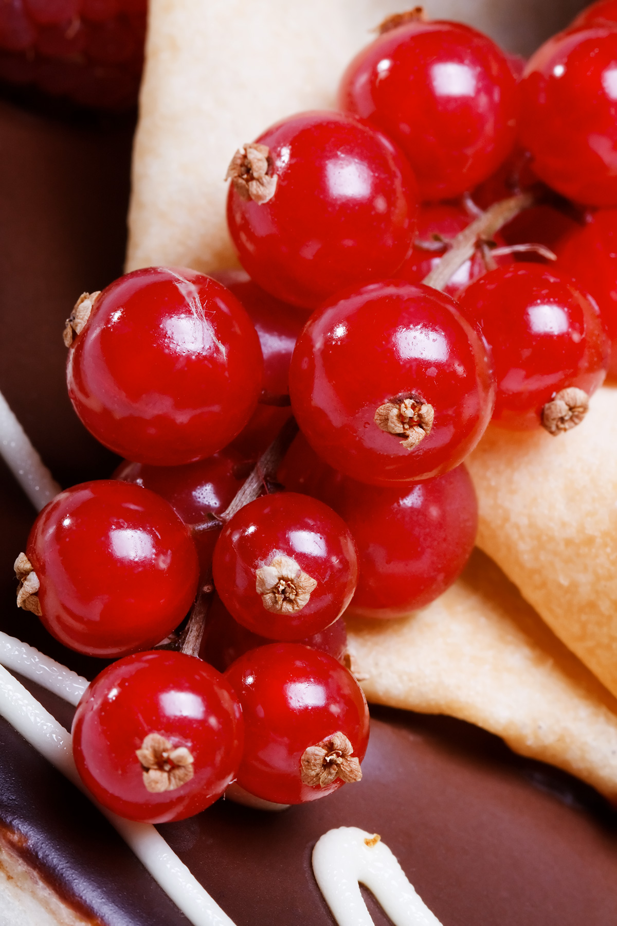 Red currant on a cake
