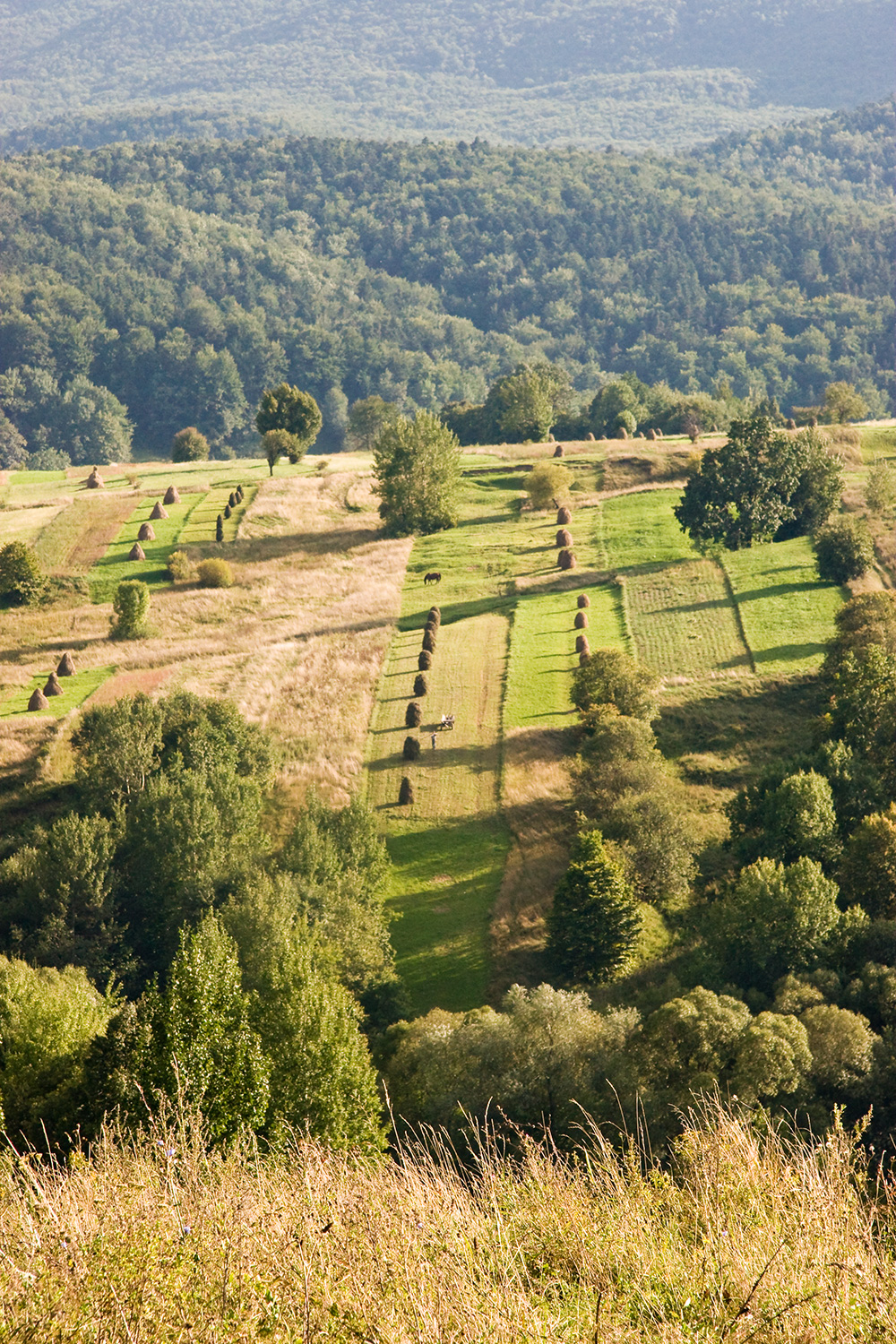 Haystacks on a hill
