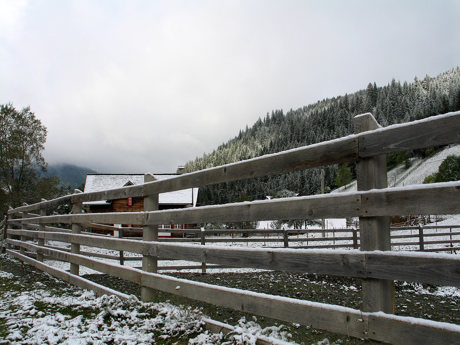 Fence in rural area