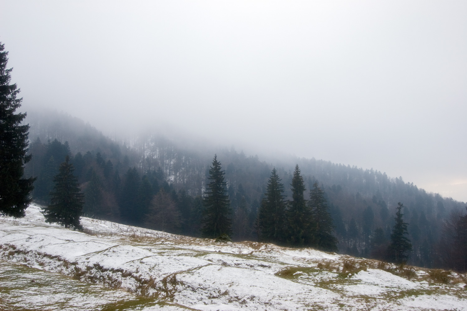 06.08.15_a_3169-winter-forest-landscape.jpg