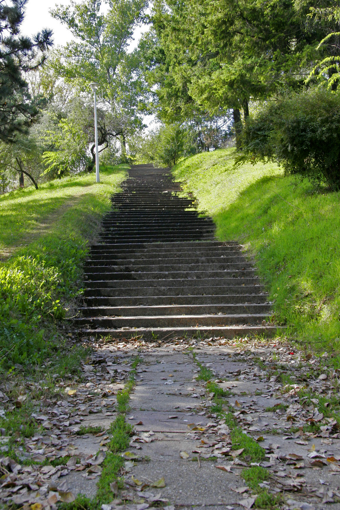 Empty stairs in a park