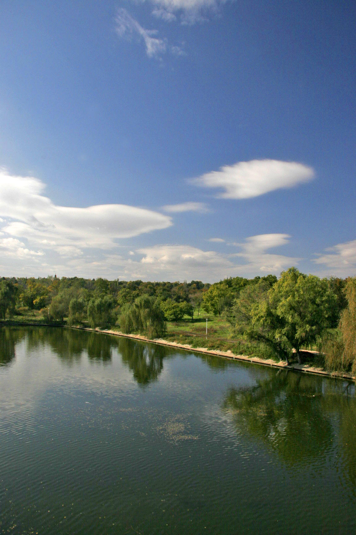 Summer day in the park