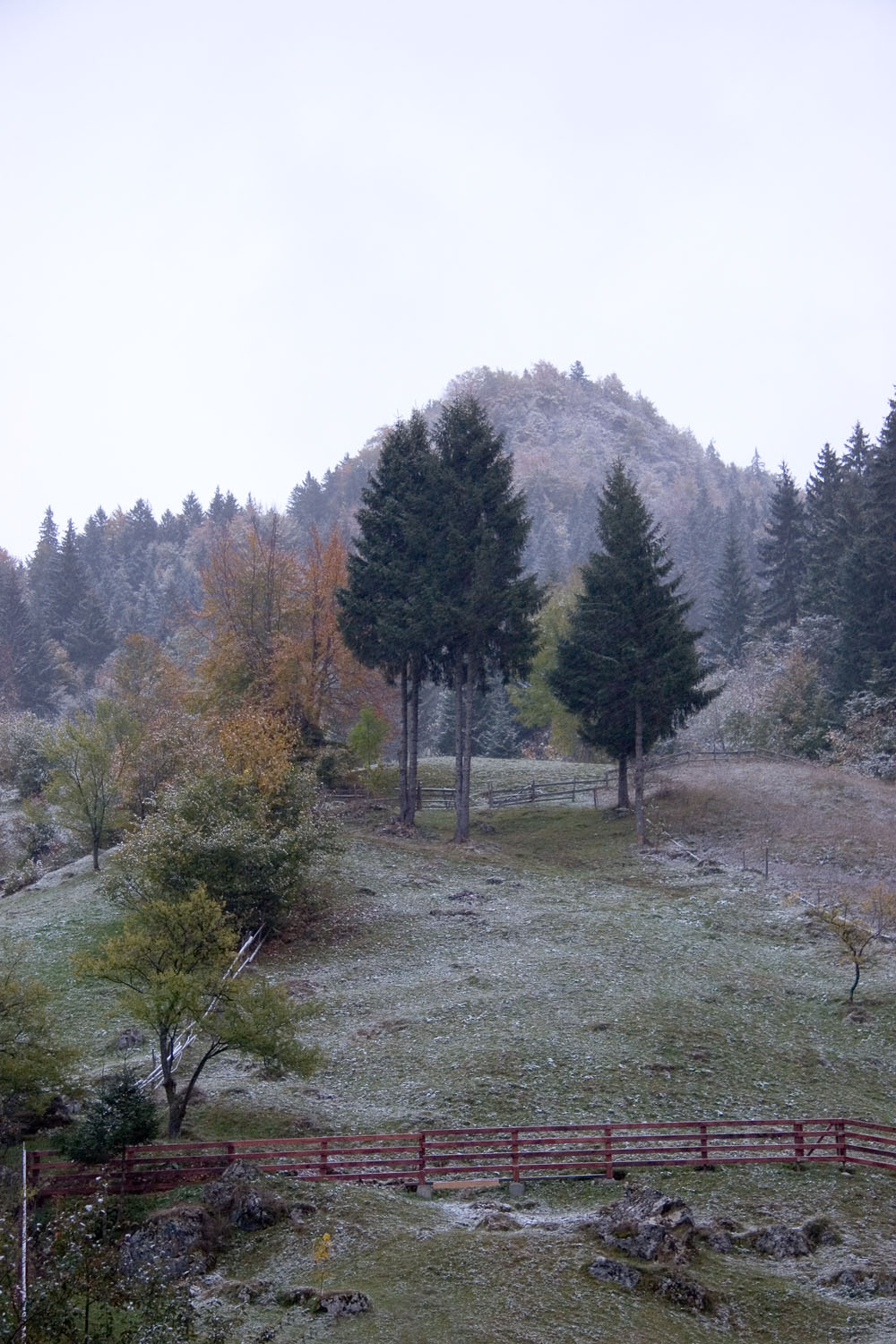 First snow sprinkled on mountain pastures