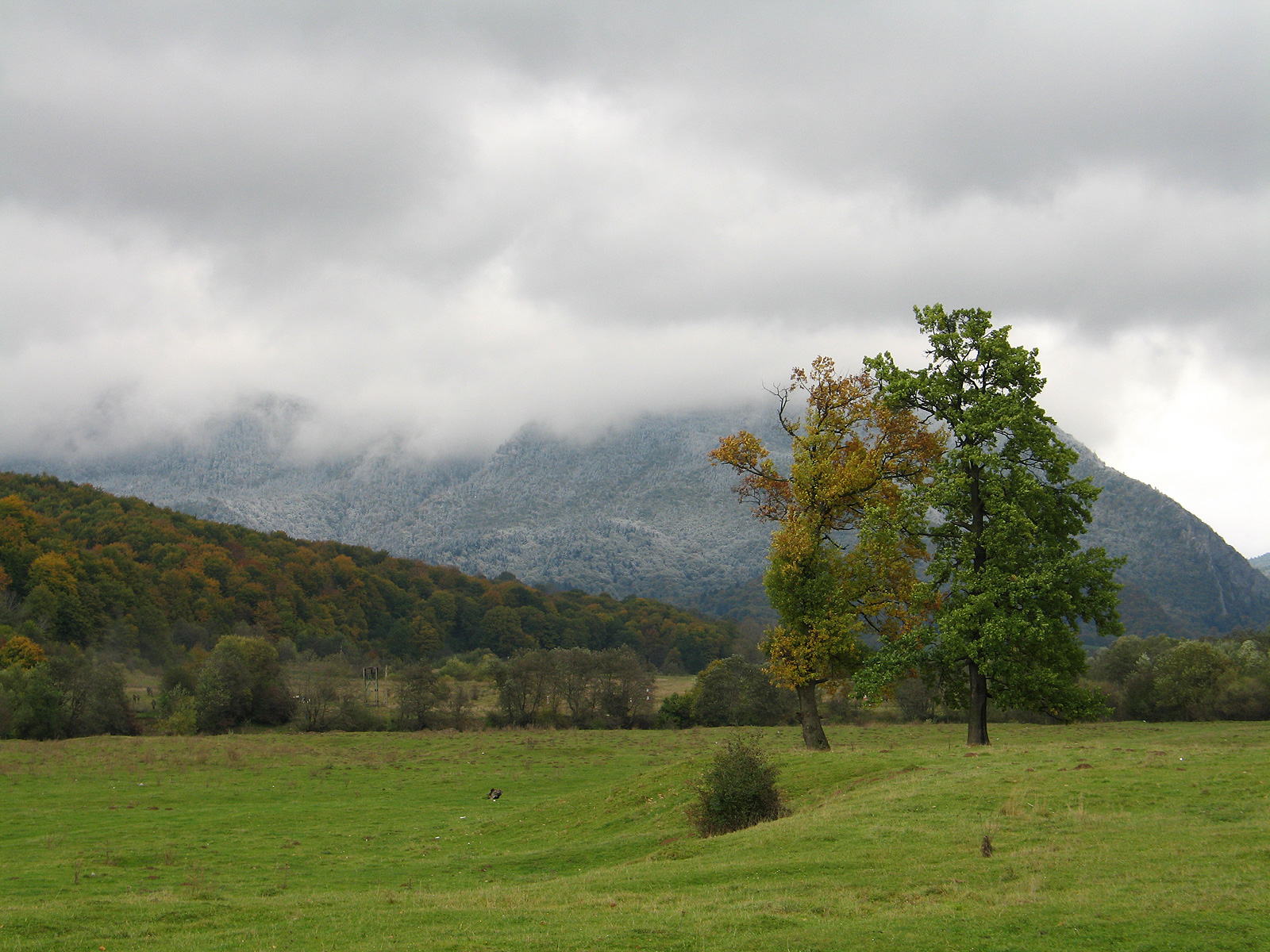 Green meadow in early fall with clouds roling over the mountains