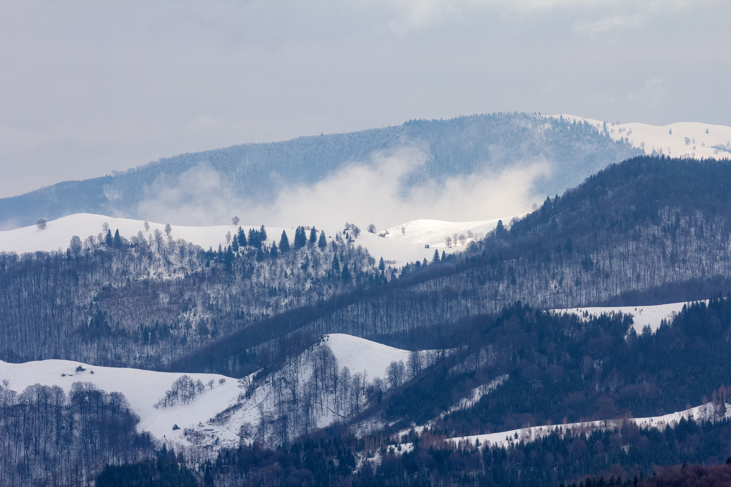 Mountain landscape in winter with small barns dotting the forested ridges