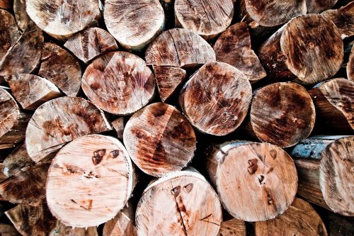 Stacked timber logs
