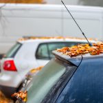 Cars covered by yellow leaves